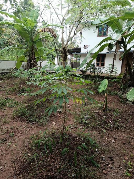 Aroma Ac Villa Varkala Villa